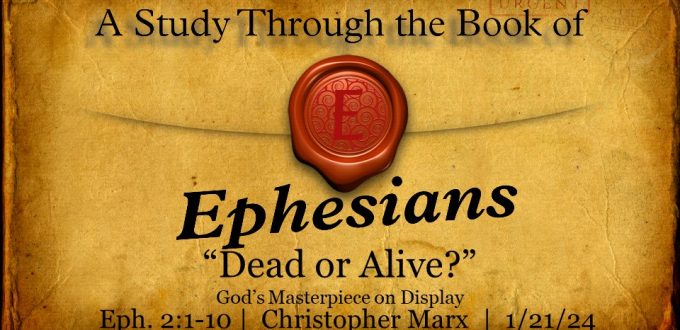 Dead or Alive? – God’s Masterpiece on Display
