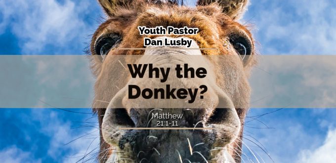 Why the Donkey?